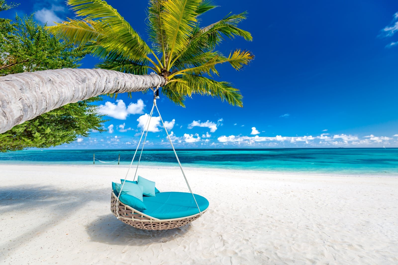 Fiji Adventures Begin Here