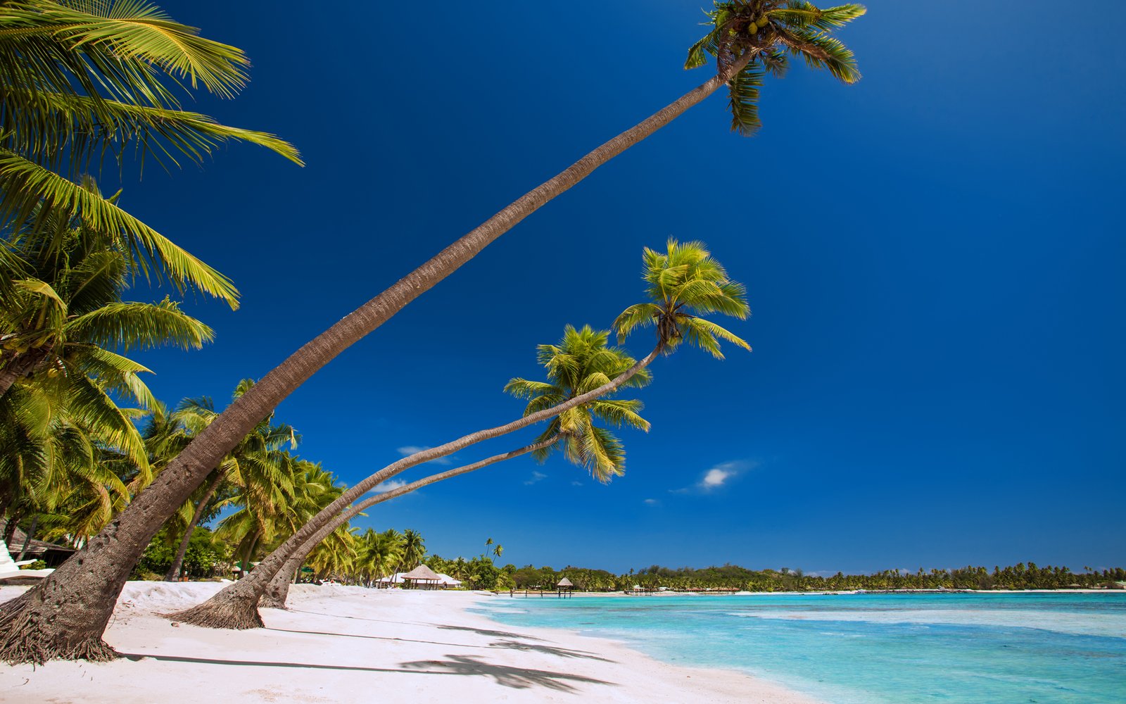 Fiji Adventures Begin Here