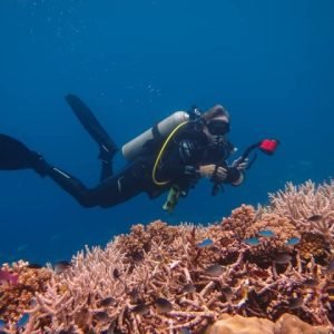 The Top Fiji Half-day Snorkelling Tour (Advance Payment)