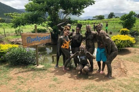 Nadi Sabeto Hotspring Mudpool Tours Fiji