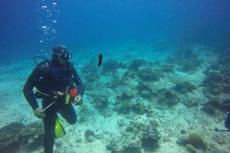 Experience Diving in Fiji | Bula!