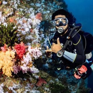 The Top Fiji Scuba Diving (Updated 2026)