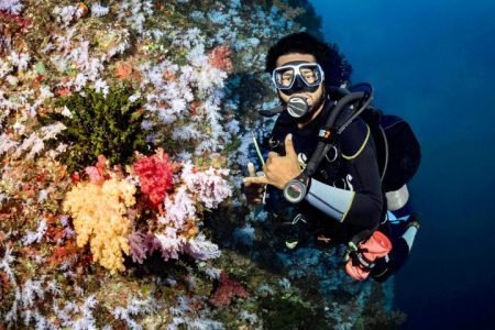 The Top Fiji Scuba Diving (Updated 2026)