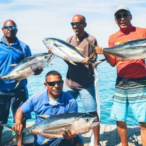 The Top Fiji Cultural Tours (Updated 2026)