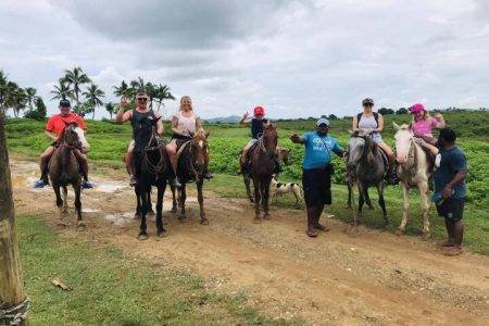 Natadola Bay Horse Riding & Beach Massage in Fiji