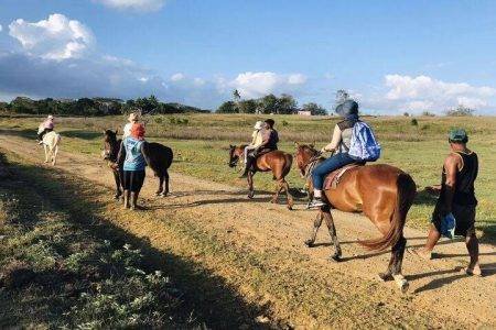 Natadola Horse Riding & Beach Massage