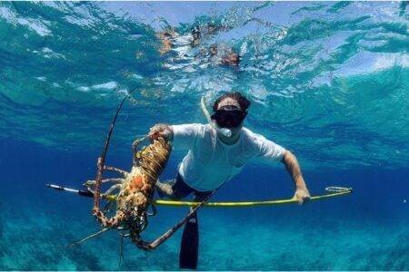 Unveil the treasures of Fiji with the us