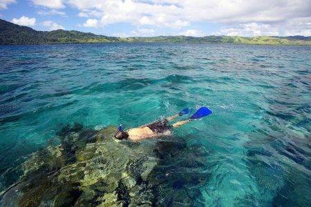Salt Diver Fiji’s Ultimate Snorkeling Experience