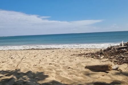 Sand Dunes National Heritage Park & Natadola Beach Half Day Tour