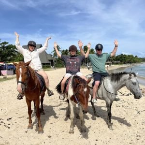 Natadola Beach Horse Riding Fiji - AU$95