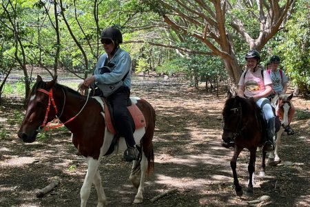 Natadola Beach Cross Country Horse Riding Fiji