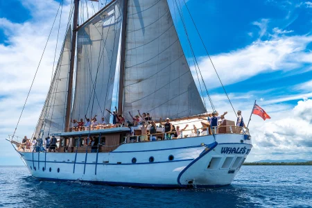Whale's Tale Day Cruise